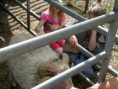 /album/farma-bitozeves/farma-bitozeves-17-jpg/